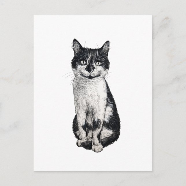 Postal Ogie el gato (Anverso)