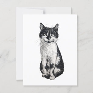 Postal Ogie el gato