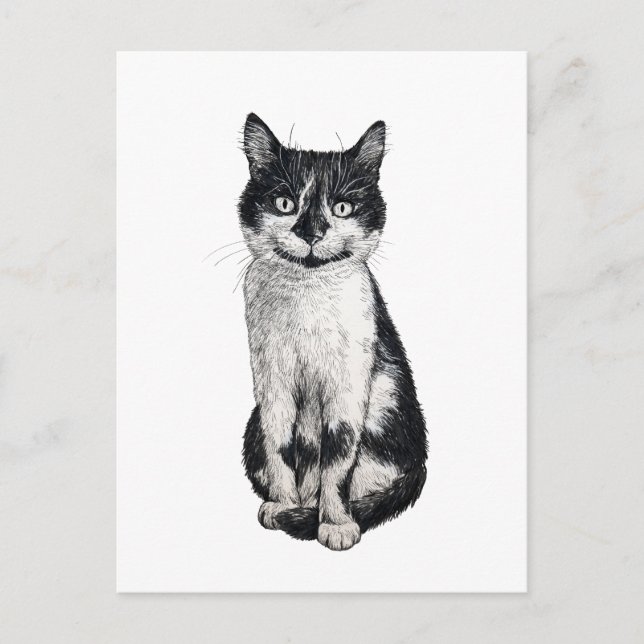 Postal Ogie el gato (Anverso)