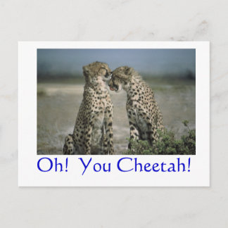 Postal ¡Oh!  ¡Chita!