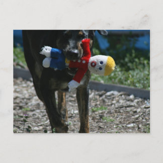Postal Oh-No Sr Bill Postcard