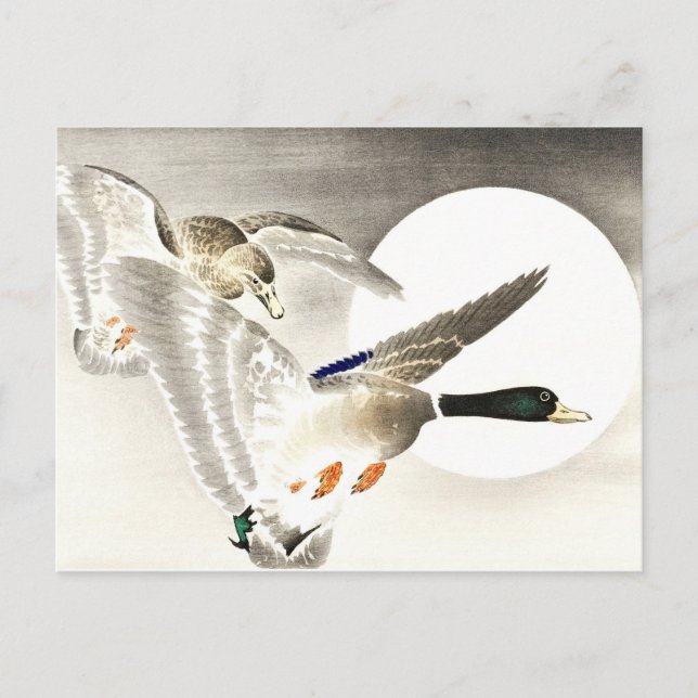 Postal Ohara Koson Japonés Dos Patos A La Luna Llena (Anverso)