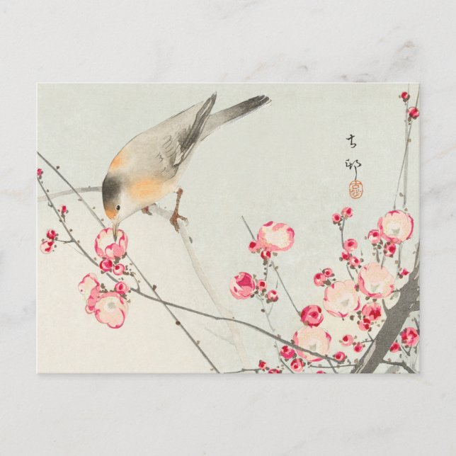 Postal ohara koson's Japanese painting postcard,小原古邨の日本画 (Anverso)