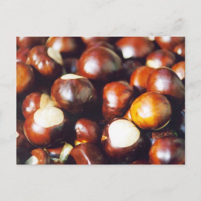 Postal Ohio Buckeyes (Anverso)