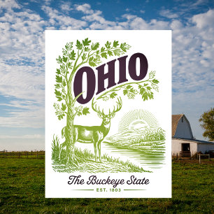 Postal Ohio El Estado del Castaño de Indias Est. 1803 Via