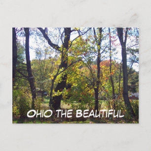 Postal Ohio la bella, 25