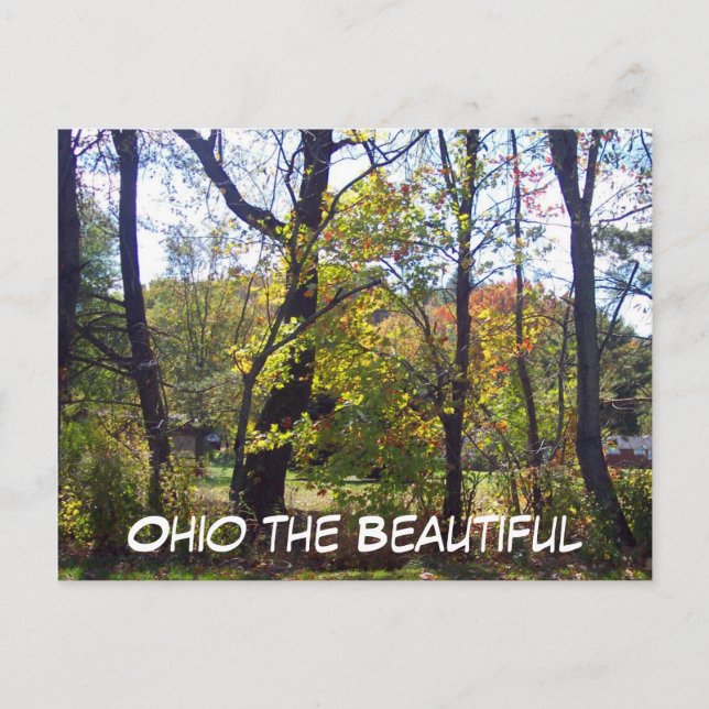 Postal Ohio la bella, 25 (Anverso)