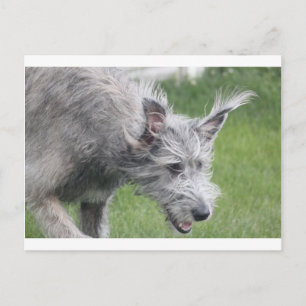 Postal oídos en movimiento