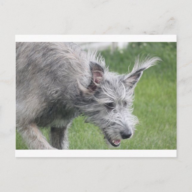 Postal oídos en movimiento (Anverso)