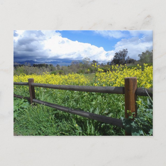 Postal Ojai Meadows (Anverso)