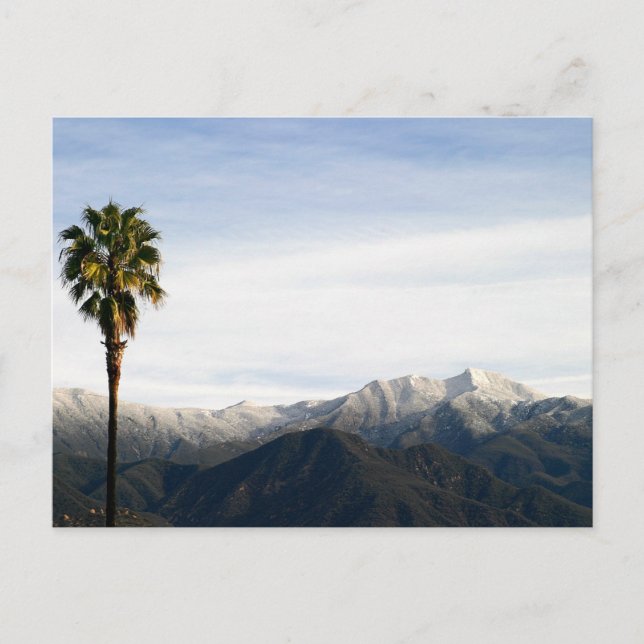 Postal Ojai Palm (Anverso)