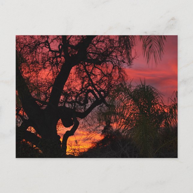 Postal Ojai Sunset (Anverso)