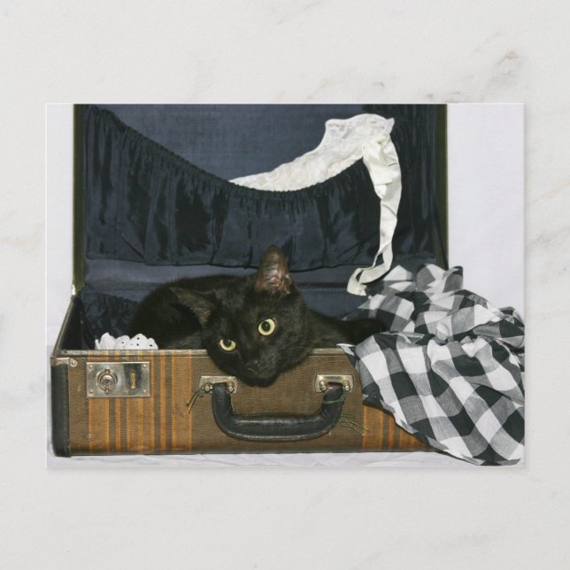 Postal Ojalá estuvieras aquí (Anverso)