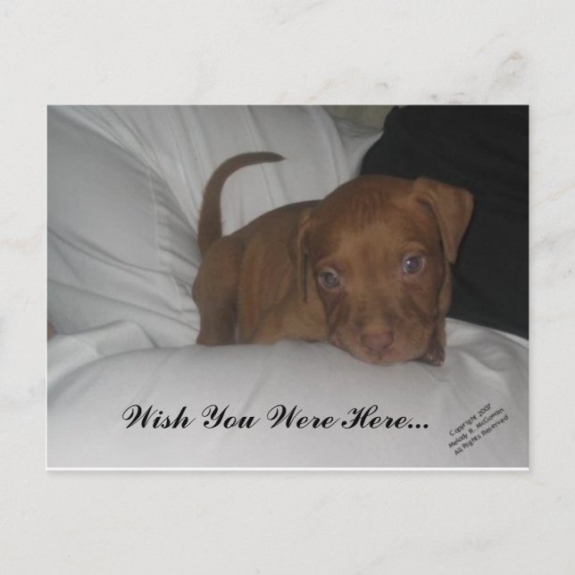 Postal Ojalá Estuvieras Aquí... (Anverso)