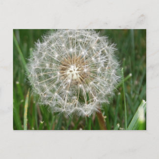 Postal Ojalá estuvieras aquí