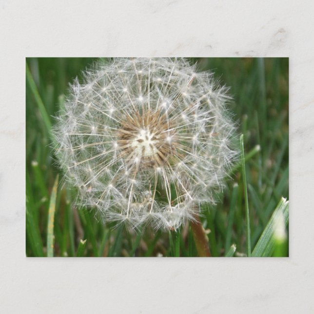 Postal Ojalá estuvieras aquí (Anverso)