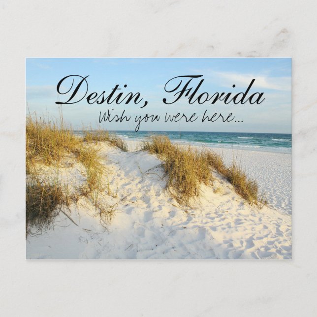 Postal Ojalá estuvieras aquí - Destin, Florida (Anverso)