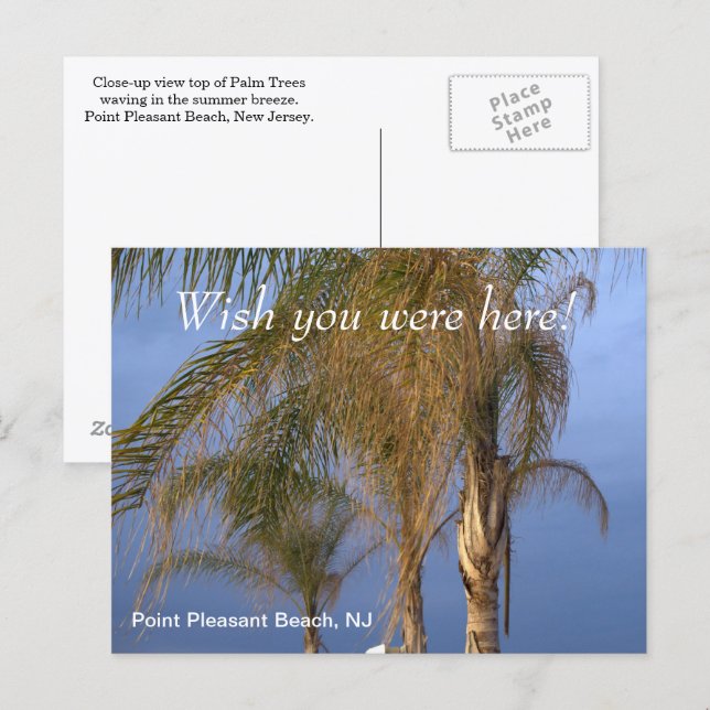 Postal Ojalá estuvieras aquí en Point Pleasant Beach NJ (Anverso / Reverso)