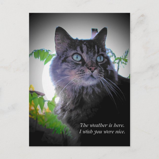 Postal Ojalá fueras amable (Anverso)