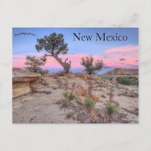 Postal Ojito Wilderness Nuevo México