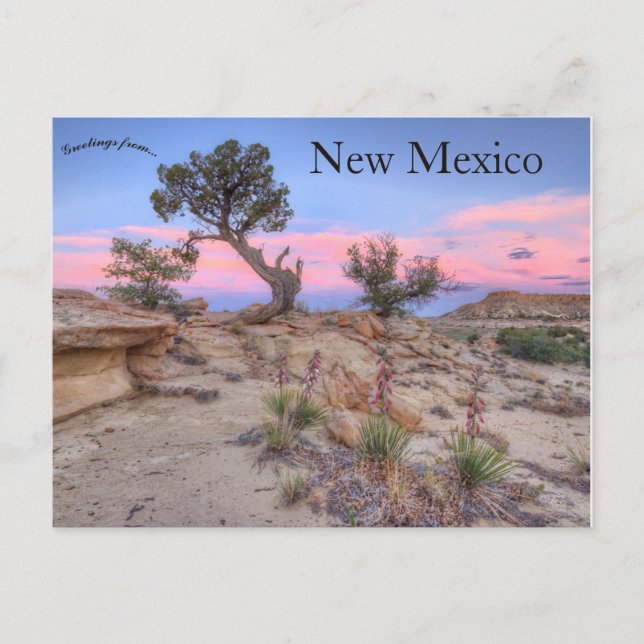 Postal Ojito Wilderness Nuevo México (Anverso)