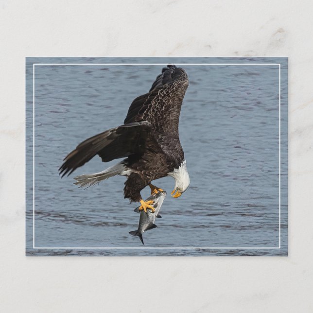 Postal Ojo A Ojo (Anverso)