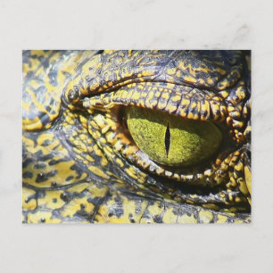 Postal Ojo cocodrilo