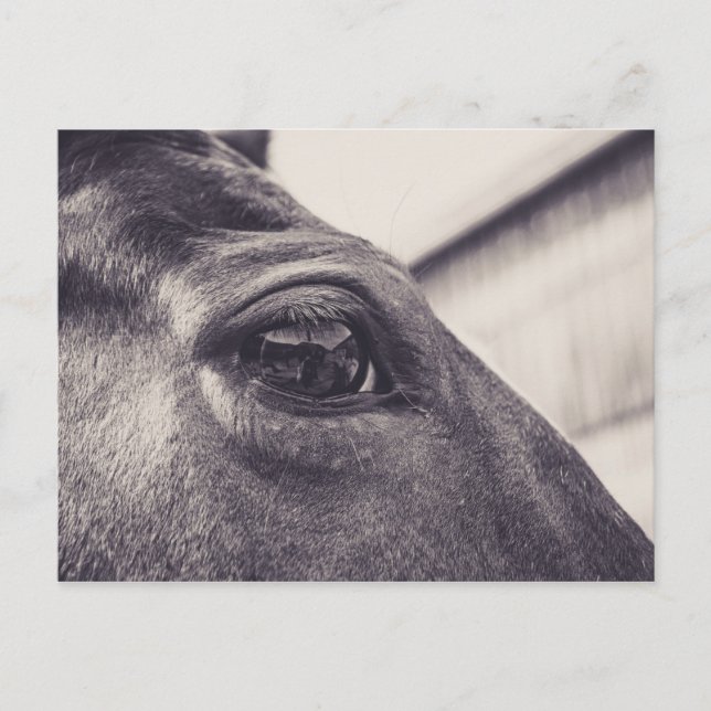 Postal Ojo de caballo 001 (Anverso)