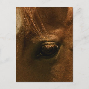 Postal Ojo de caballo con alma