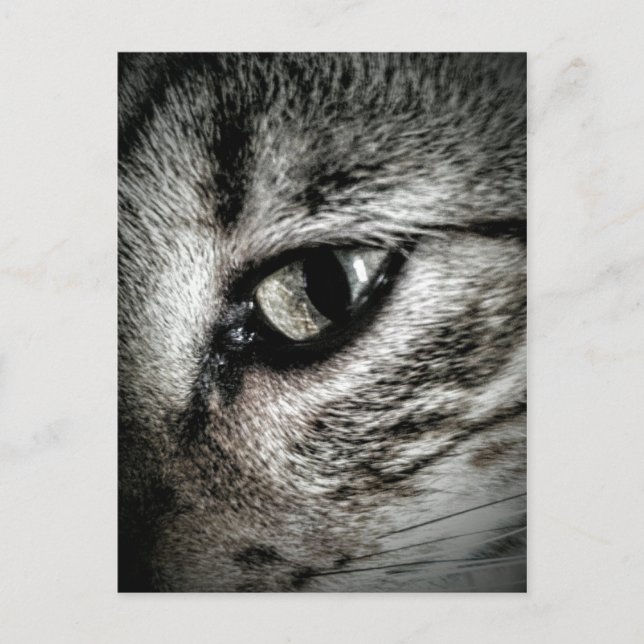 Postal Ojo de gato artístico (Anverso)