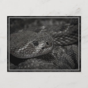 Postal ojo de la serpiente