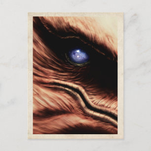 Postal Ojo de Talon - Postcard