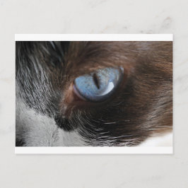 Postal Ojo del gato.JPG