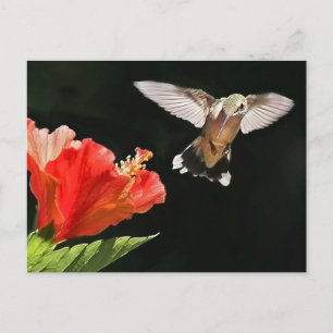 Postal Ojo en el premio