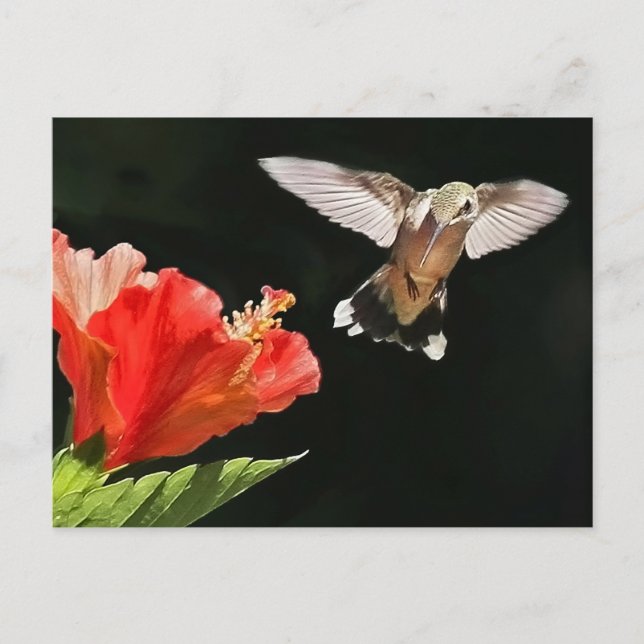 Postal Ojo en el premio (Anverso)