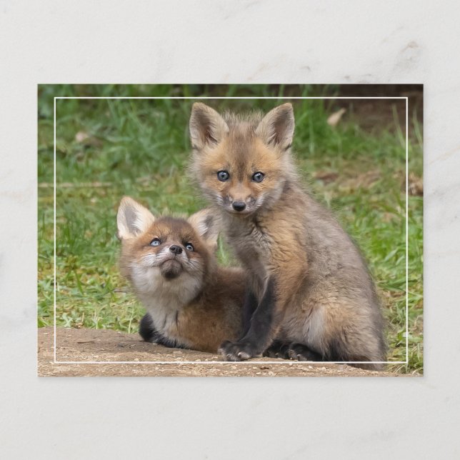 Postal Ojos amorosos (Anverso)