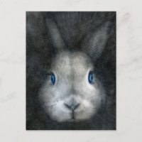 OJOS AZULES