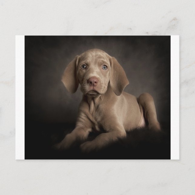 Postal Ojos azules (Anverso)