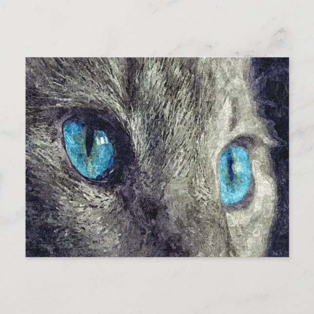 Postal Ojos azules de gato gris (Anverso)
