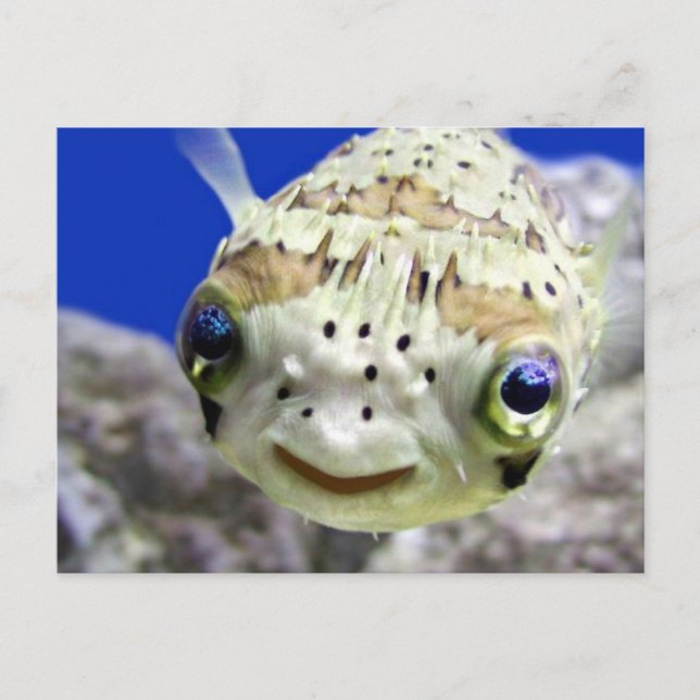 Postal Ojos azules grandes (Anverso)