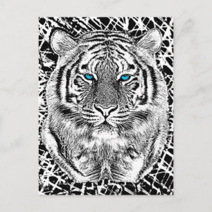 Postal Ojos azules negros y blancos cara de tigre salvaje