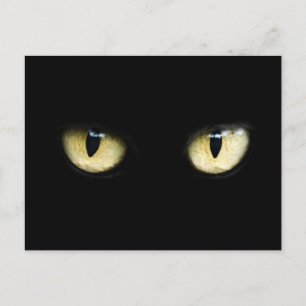Postal Ojos de gato