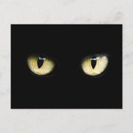 Postal Ojos de Gato