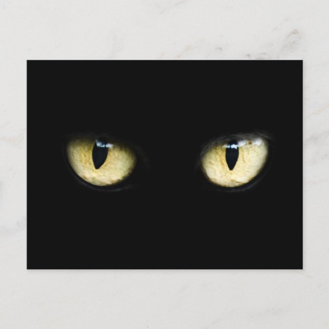 Postal Ojos de Gato (Anverso)