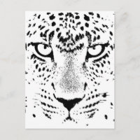 Ojos de leopardo blanco y negro