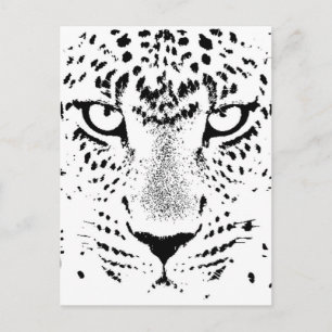 Postal Ojos de leopardo blanco y negro