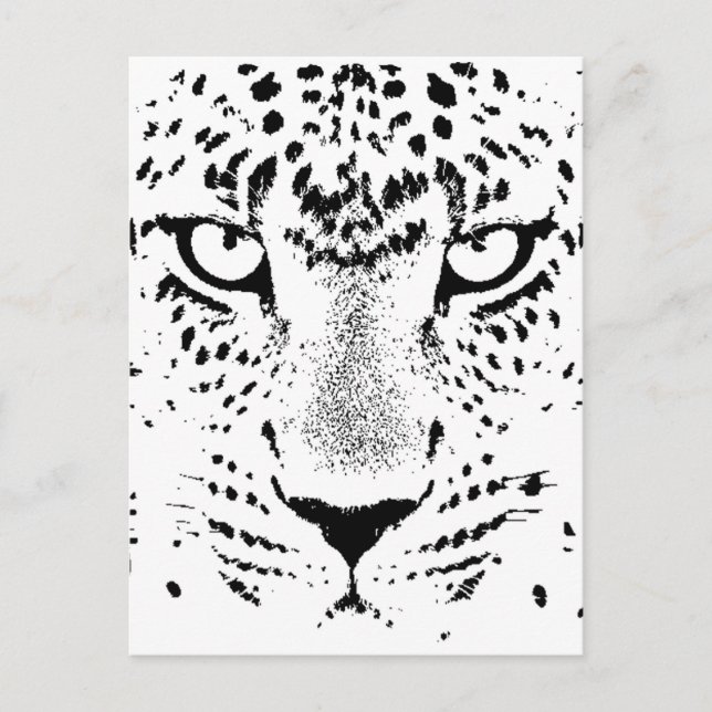 Postal Ojos de leopardo blanco y negro (Anverso)