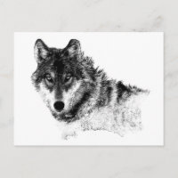 Ojos de lobo Inspirador blanco negro
