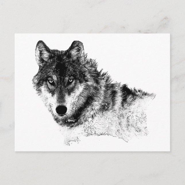 Postal Ojos de lobo Inspirador blanco negro (Anverso)