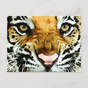 Postal Ojos de tigre